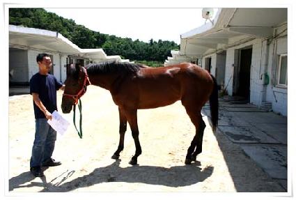 �׻󼱵� ����