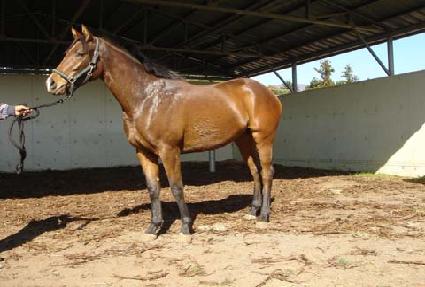 ��������� ����