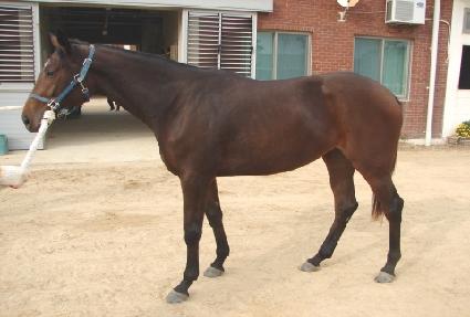 ���̳κ��� ����