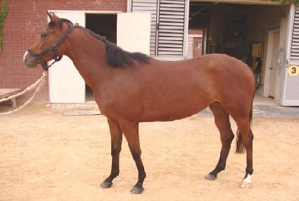 ���Ƿ��� ����