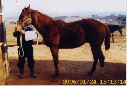 ���Ĺ̺� ����