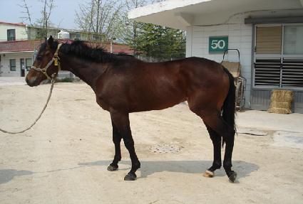 �������� ����