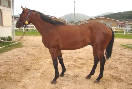 ����Ʈ�� ����