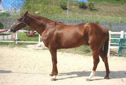 ��ġ�Ŀ� ����