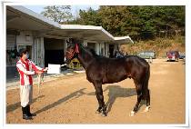 Ÿ�� (TOWER) ����