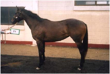 ���п��� ����