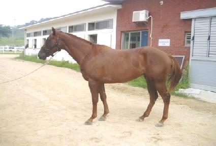 ����� ����