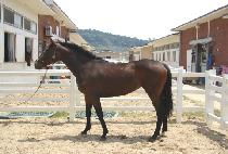 �������� (SEONGYEON JIMYEONG) ����