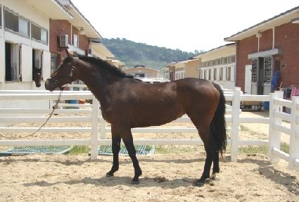 �������� ����