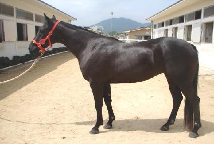 ������ ����