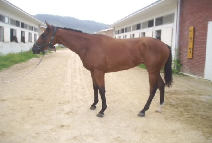 �������� ����