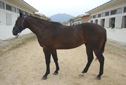 �������� ����