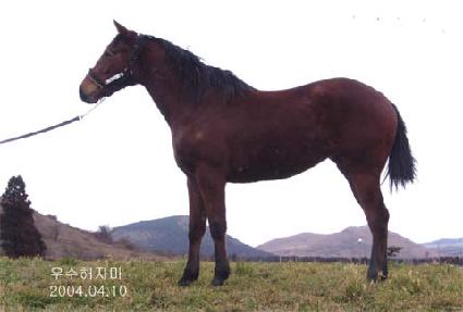 ���� ����