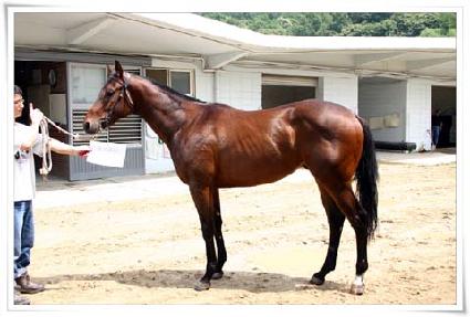 �ʽ��ǵ� ����