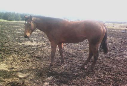 ž���� ����