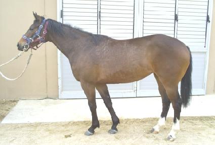 ��ũ��ġ ����