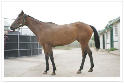 ������� ����