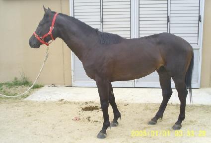 �Ŀ����� ����