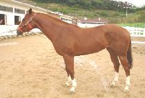 ����ȯ (YUBI MUHWAN) ����