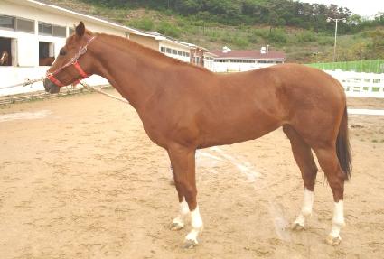 ����ȯ ����