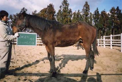 ��� ����