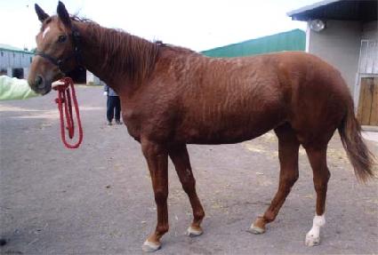 Ʈ������ ����