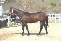 �������º� (JULLYAKJUK SEUNGBU) ����