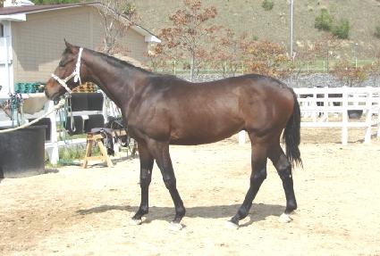 �������º� ����