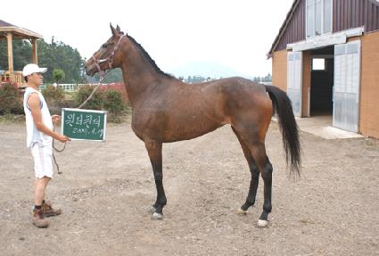 �������� ����