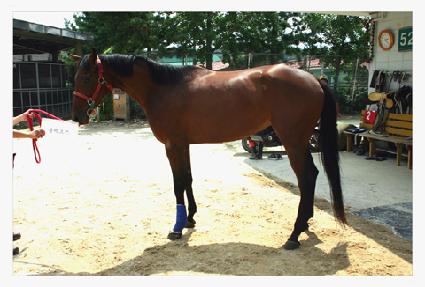 �������� ����