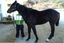 ��Ȳ�� (TAEHWANGSEONG) ����