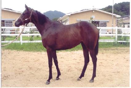 �Ŀ����� ����