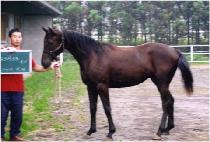 �����ǵ� (BINJAUIDEUNG) ����