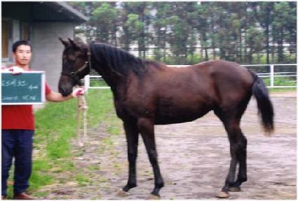 �����ǵ� ����