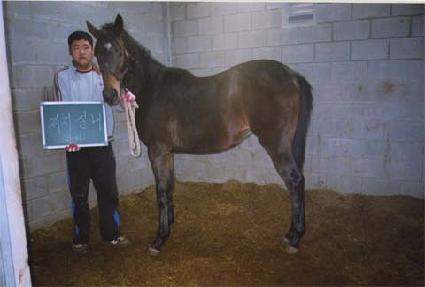 �����ٸ� ����