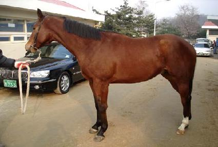 ũ����� ����