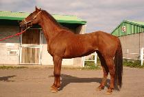 ����� (YESANGBAEK) ����