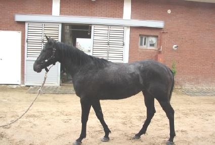 �ʽ����� ����