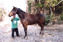 �������� (GAMUNMYEONGYE) ����