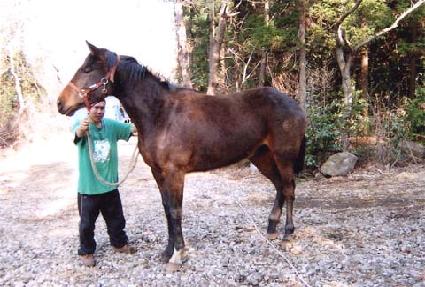 �������� ����