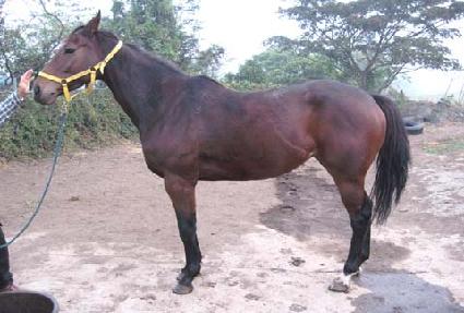 �ݼ��� ����