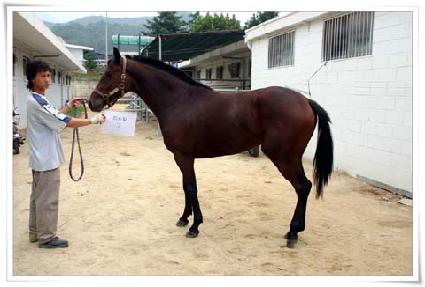 �̻��� ����