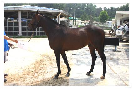 ���÷� ����