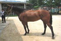 �۰��� (SONG GONG SAN) ����