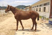 ���߱� (UNJUNGGUN) ����