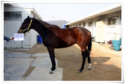 ����Ʈ ����