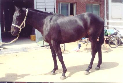 �����Ͽ� ����