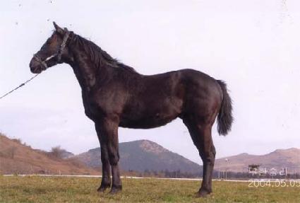 ���Ѵ뱺 ����