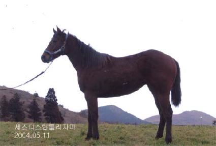 ���ؽ�Ÿ ����