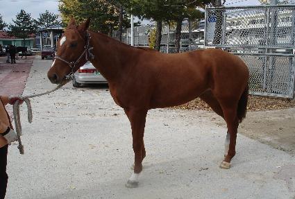 ��õ�� ����